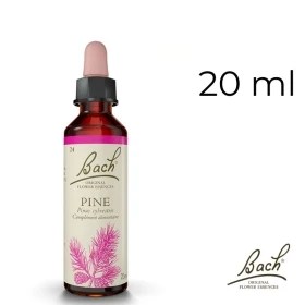 Flacon de remède floral Bach au pin, 20 ml.